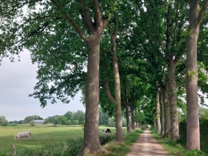 502477556_24053225227627830_4620090239449739024_n