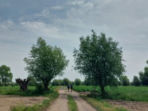 502477564_24053818160901870_2034648119195377742_n