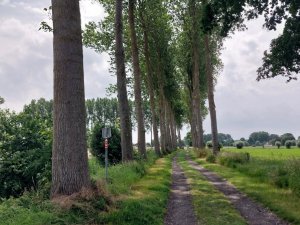 502482095_24053868120896874_7913942911443754667_n