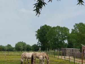 502492176_24053858950897791_9191380223057858067_n