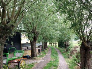 502511711_24053869644230055_6567910621515525429_n