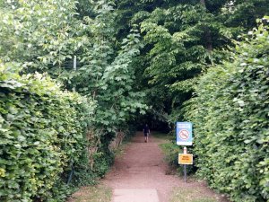 502523067_24053867180896968_693819219215344204_n