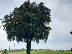 502524472_24053222794294740_5783088125257591440_n