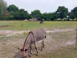 502534876_24053824767567876_8817936900902655255_n