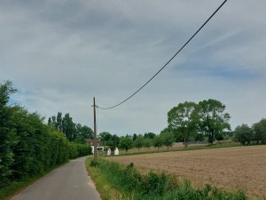 502535539_24053822274234792_1214284627605318782_n