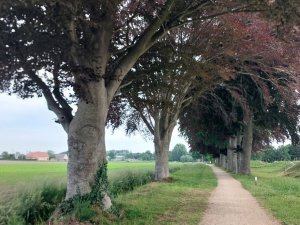 502539420_24053224494294570_8336970074950844134_n