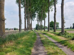 502584768_24053863897563963_8707915817353099210_n