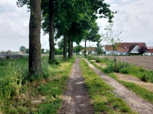 502631497_24053815284235491_1888279028664331008_n