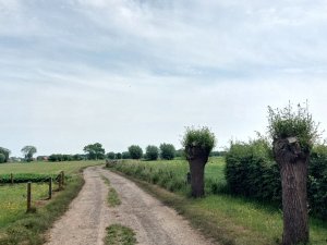 502634992_24053471564269863_7345041528573011473_n