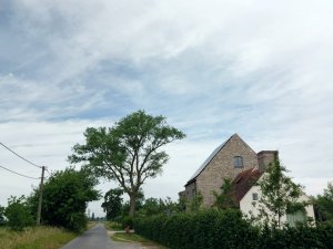 502660774_24053868837563469_5796456744114235785_n