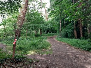 502690073_24053218730961813_24044109850684158_n