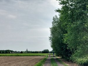 502708204_24053865510897135_5167812246456211903_n