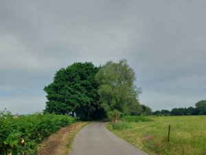 502724353_24053226104294409_8459306041344379195_n