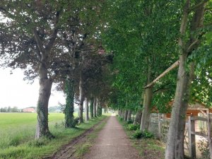 502738333_24053223387628014_8553384789619948018_n