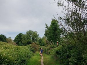 502840986_24053817140901972_8962547961885621565_n