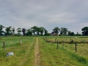 502864085_24053817647568588_2096765530420703982_n