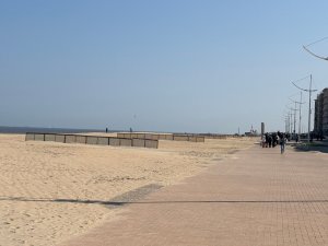 IMG_3530-2