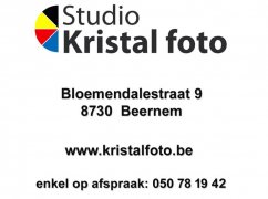 Logo-Kristal-final-version