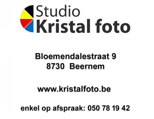 Logo-Kristal-final-version
