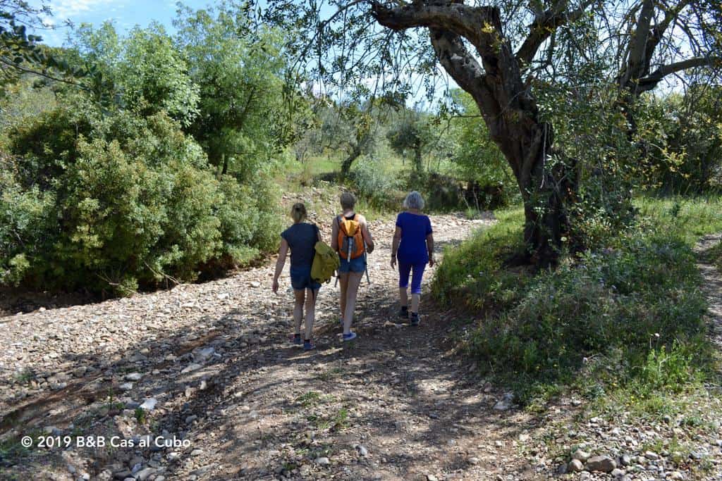 Rivier wandelroute Barrocal Algarve Tavira