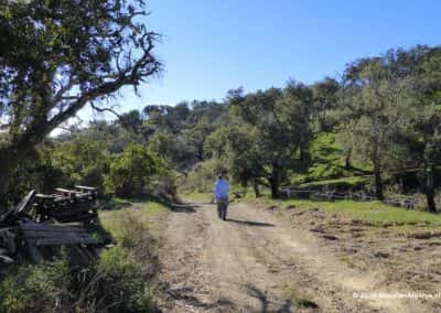 Wandelpad door groene heuvels met wandelaar