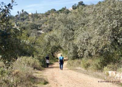 Wandelpad steeneiken wandelaars