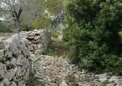 Romeins pad en afgebrokkelde muur door het groen