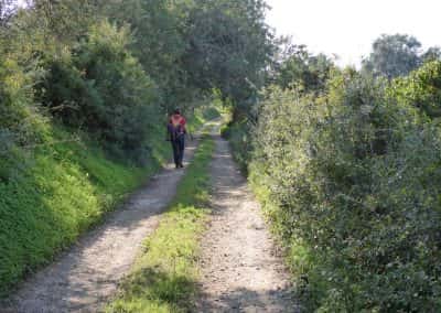Wandelaar op onverhard pad, omzoomd door bomen in de Oost-Algarve
