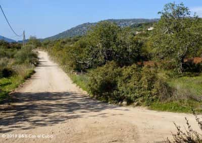 Onverhard wandelpad Cerro de Cabeça