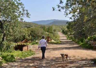 Wandelaar ontmoet boerderij hond