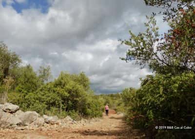 Wandelpad, Cerro do Leiria, Oost-Algarve, Wolkenlucht