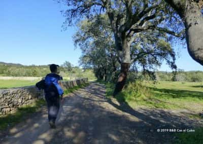 wandelroute Santa Catarina da Fonte do Bispo, GPS route