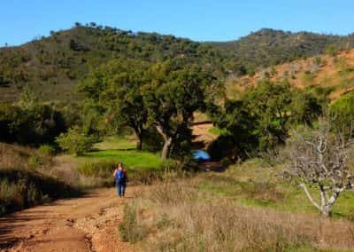 wandelpad, heuvels, parasoldennen, stroompje