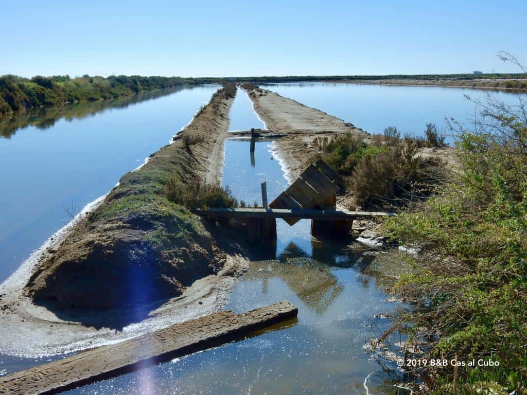 Dijkjes in de Ria Formosa, verdamping, zoutwinning