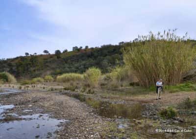 Rivier de Alportel