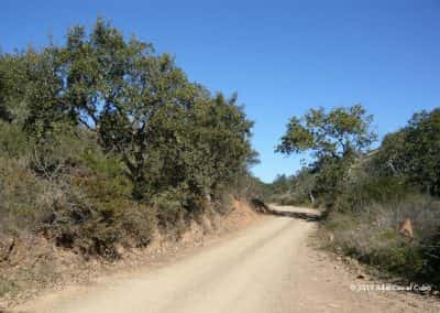 Wandelpad door de ruige natuur van de Algarviaanse heuvels