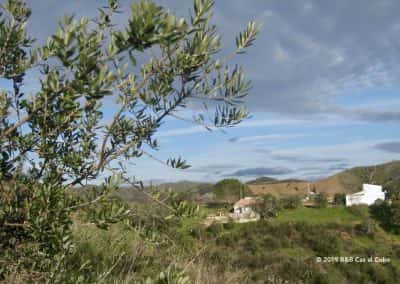 Uitzicht Quinta in de vallei van Varzeas