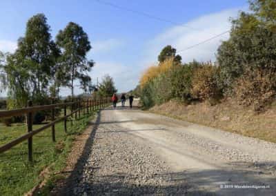 Wandelpad langs de noord oever van de Asseca rivier