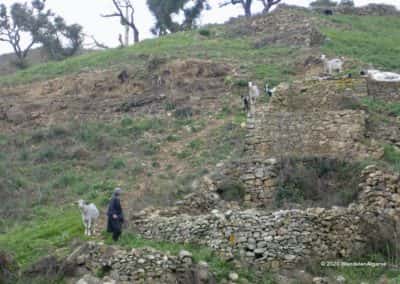 Een schaapsherder in de Serra do Caldeirão op wandeling LLE PR Aguas Frias