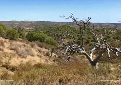 Het uitzicht vanaf Cerro das Barradas op CTM PR5