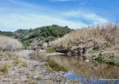 Rietvelden aan de oevers van de rivier de Beliche op wandelroute CTM PR8