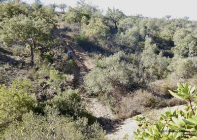 Begroeide hellingen met een slecht pad op wandelroute Fonte Férrea