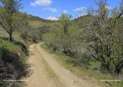 Wandelpad op wandeling Masmorra van Tavira