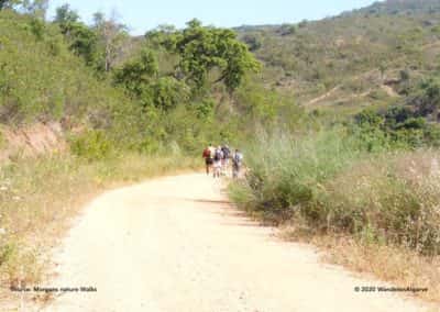 Wandeling gemeente Loulé PR06 in de Serra do Caldeirão