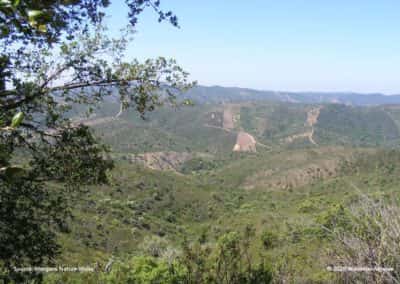 Panoramisch uitzicht over de heuvels op wandeling LLE PR21 Pe do Coelho