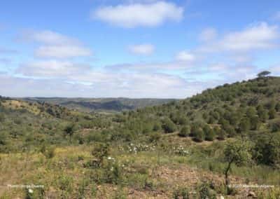 LLE PR21 glooiende heuvels aan de grens met de Alentejo