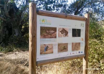 Informatiebord biodiversiteit langs de wandeling door de vallei van de rivier Alportel