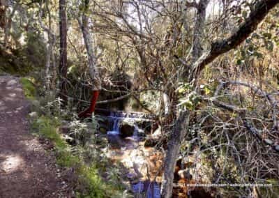 São Brás de Alportel wandelroutes - Vale de Alportel