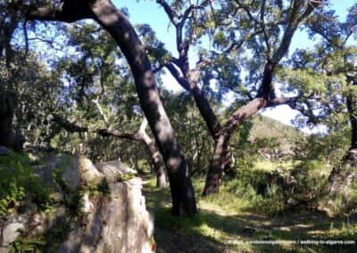 Sao Bras de Alportel wandelroutes - Vale de Alportel