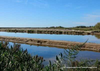 Caminho da Ria Formosa - Olhão Wandelroutes-Portugal